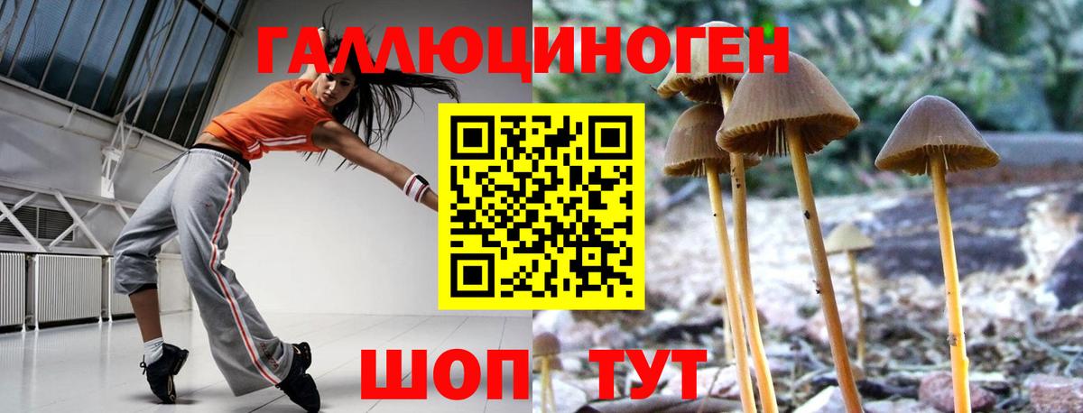 Зеленокумск  Галлюциногенные грибы Magic Shrooms  Вход с VPN 